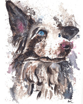 Expressive watercolor pet portrait of a black and white border collie dog