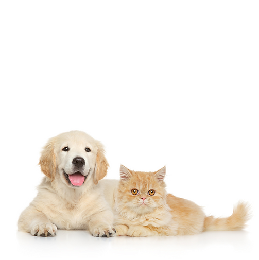 White And Black Minimalist Electronic Product Listing Amazon Product Image (1).png