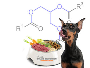 IMPORTANCIA DE LAS GRASAS EN LA COMIDA DE TU PERRO