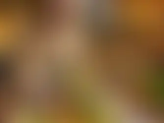 Comment un chef à domicile valorise la gastronomie régionale auprès d’un public étranger