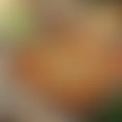 Cannellonis à la courge et ricotta - maladie de Wilson