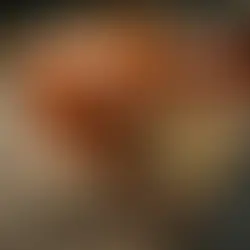 Pain brioché au yaourt nature - maladie de Wilson