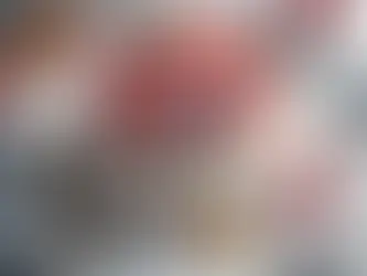 Pavlova aux Fruits Rouges - maladie de Wilson