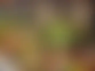 Pourquoi l’option locavore renforce l’image de marque d’une entreprise lors d’un événement professionnel