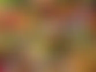 Les alternatives véganes dans l’offre halal : un atout pour les convives aux régimes variés