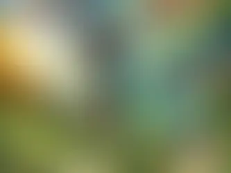 Les Régimes pour Sportifs d’Endurance : Stratégies Nutritionnelles Efficaces et Tendances Innovantes