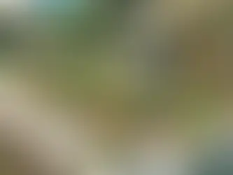 Traiteur et repas écoresponsables : l'accompagnement innovant pour les entreprises à Lyon