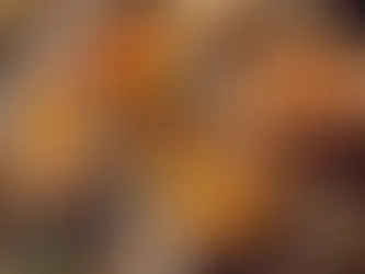 Les desserts à base de miel : Spécialités lyonnaises à découvrir