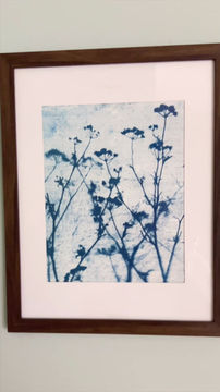 Thumbnail: Beautiful Dill - Cyanotype - 8x10 -  unframed