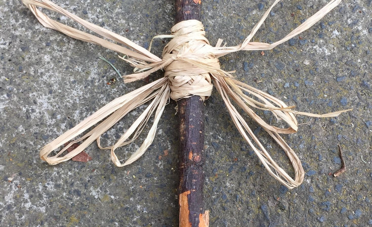 2021 Raffia Pollot Butterfly - Dr Mark Glickman