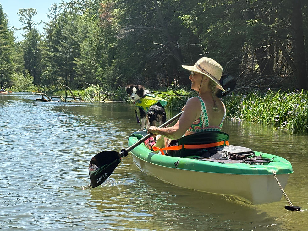SSH mini Aussie, Mateo, kayaking with his mom in southern Michigan.