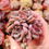 Miniatura: Echeveria ‘Red Bell’ 🇰🇷 VERY RARE ♡ NEW