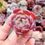 Miniature : Echeveria ‘Red Sun’ Type B 🇰🇷 VERY RARE ♡ NEW
