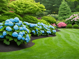 high end Connecticut home landscaped yard with hydrangeas .png