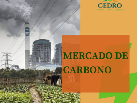Mercado de Carbono