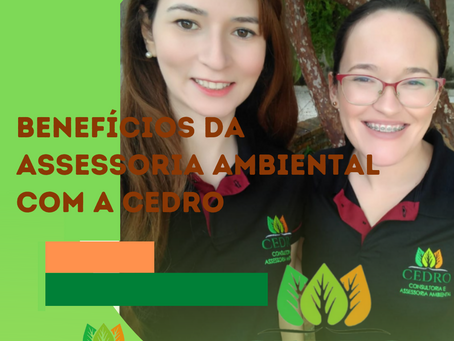 Benefícios de Contratar a Assessoria com a Cedro Consultoria Ambiental