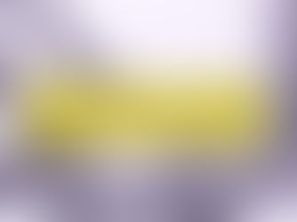 O Sorriso do Flamingo