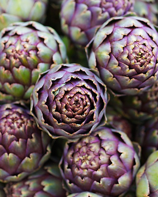 Artichoke