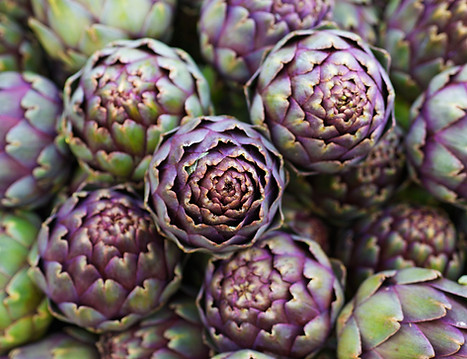 Artichoke