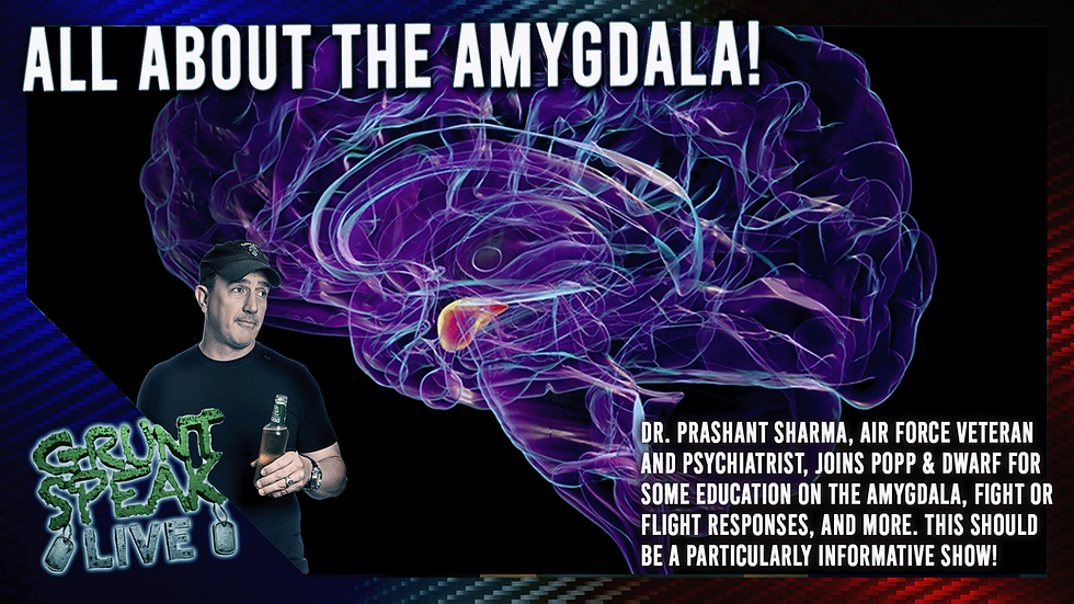 All About The Amygdala!