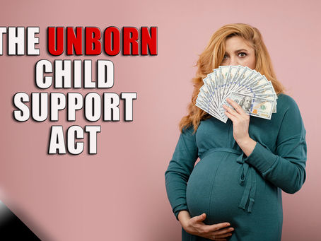The Unborn Child Support Act