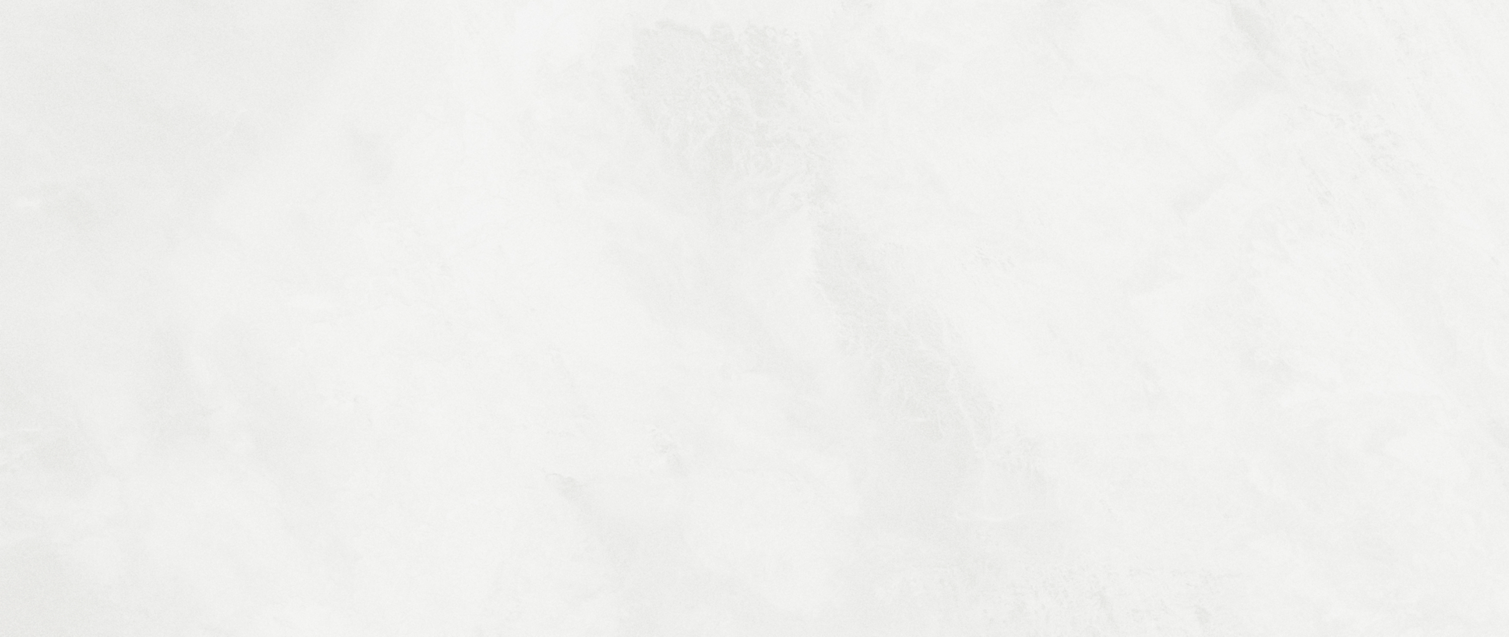 White Background_edited_edited_edited.jpg
