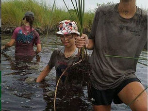 Grand Bayou Grass Planting with Atakapa-Ishak/Chawasha Village