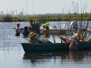 Into the Mud: A Marsh Planting with Common Ground Relief