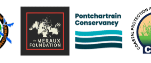Common Ground Relief joins the Central Wetlands Reforestation Collective to plant tens of thousands of trees, other vegetation in Central Wetlands