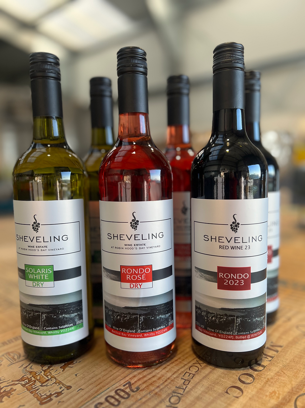 BAY Vineyard- 6 Bottle Mix Case, 2 of each