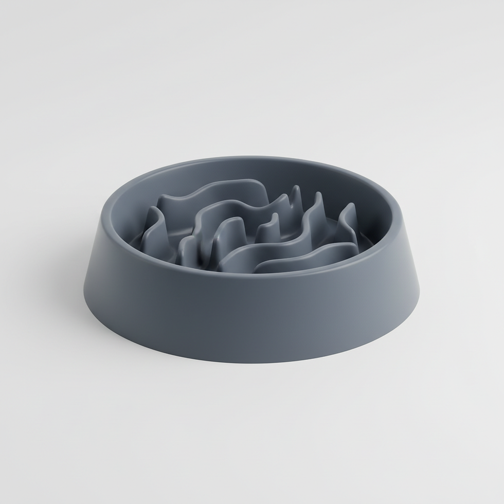 Slow Feeder Bowl