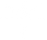 Phenix - White&white.png