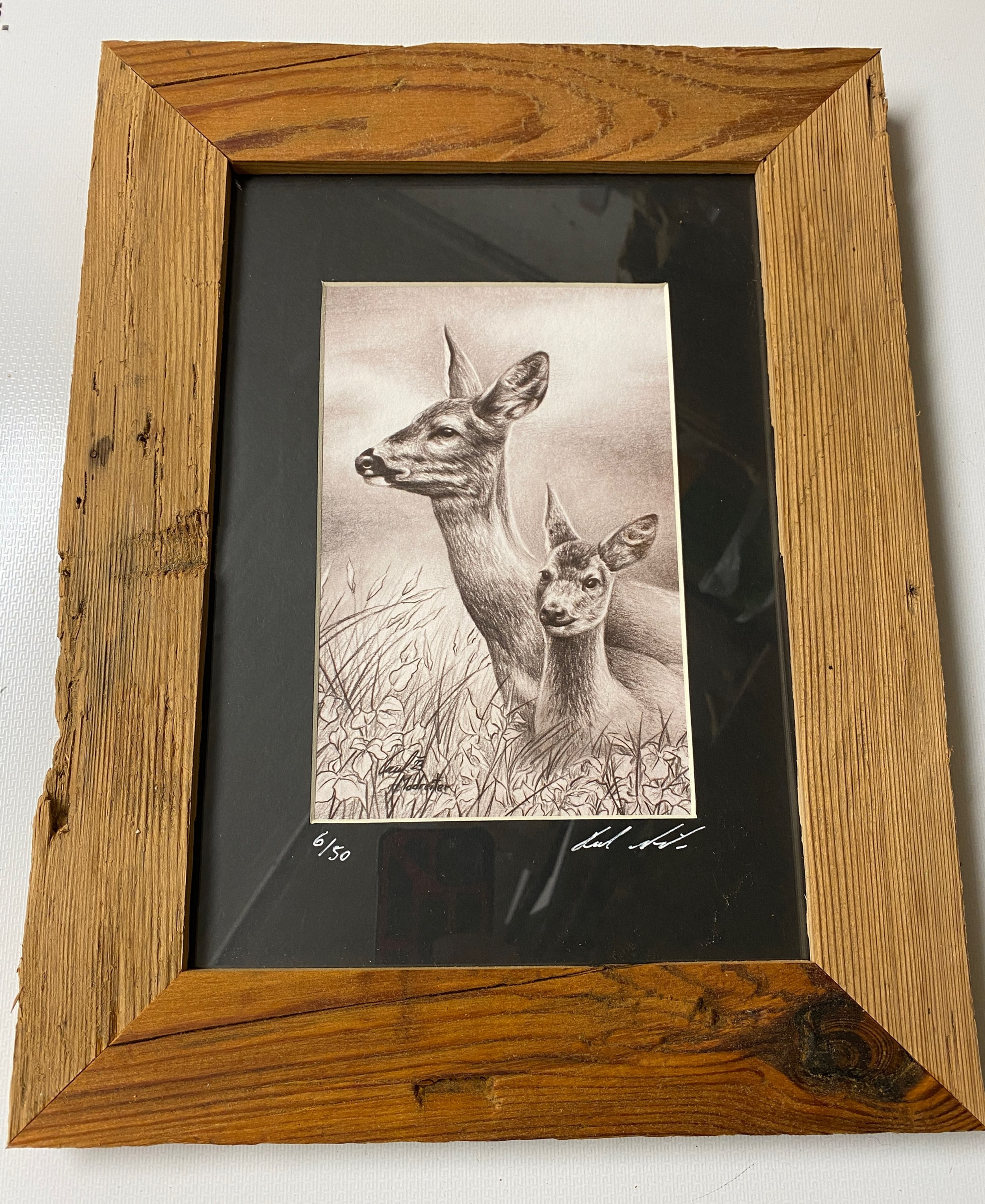 Rehe Nr.9