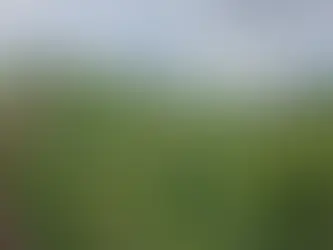 Corpo é encontrado próximo ao antigo Viaduto das Almas, em Ouro Preto