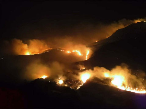 Dois homens são presos por incêndio no Parque Estadual do Itacolomi