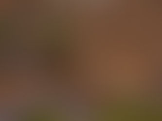 Justiça condena Vale, Samarco e BHP e pede indenização de R$47,6 bilhões por rompimento da barragem de Fundão