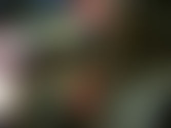 Homens atiram e colocam fogo em ônibus coletivo de Ouro Preto