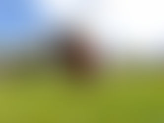 BABY MIT VERBRENNUNGEN GERETTET