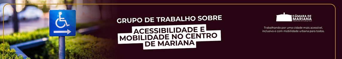 Grupo de Trabalho sobre Acessibilidade.png