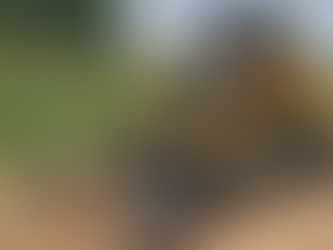 Professional Groundwork Solutions by Bama Earthworks, LLC