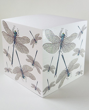 dimmalimm-memo-block-WebDragonfly.jpg