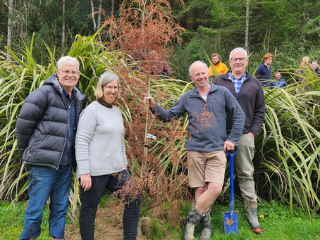 Autumn Newsletter 2024