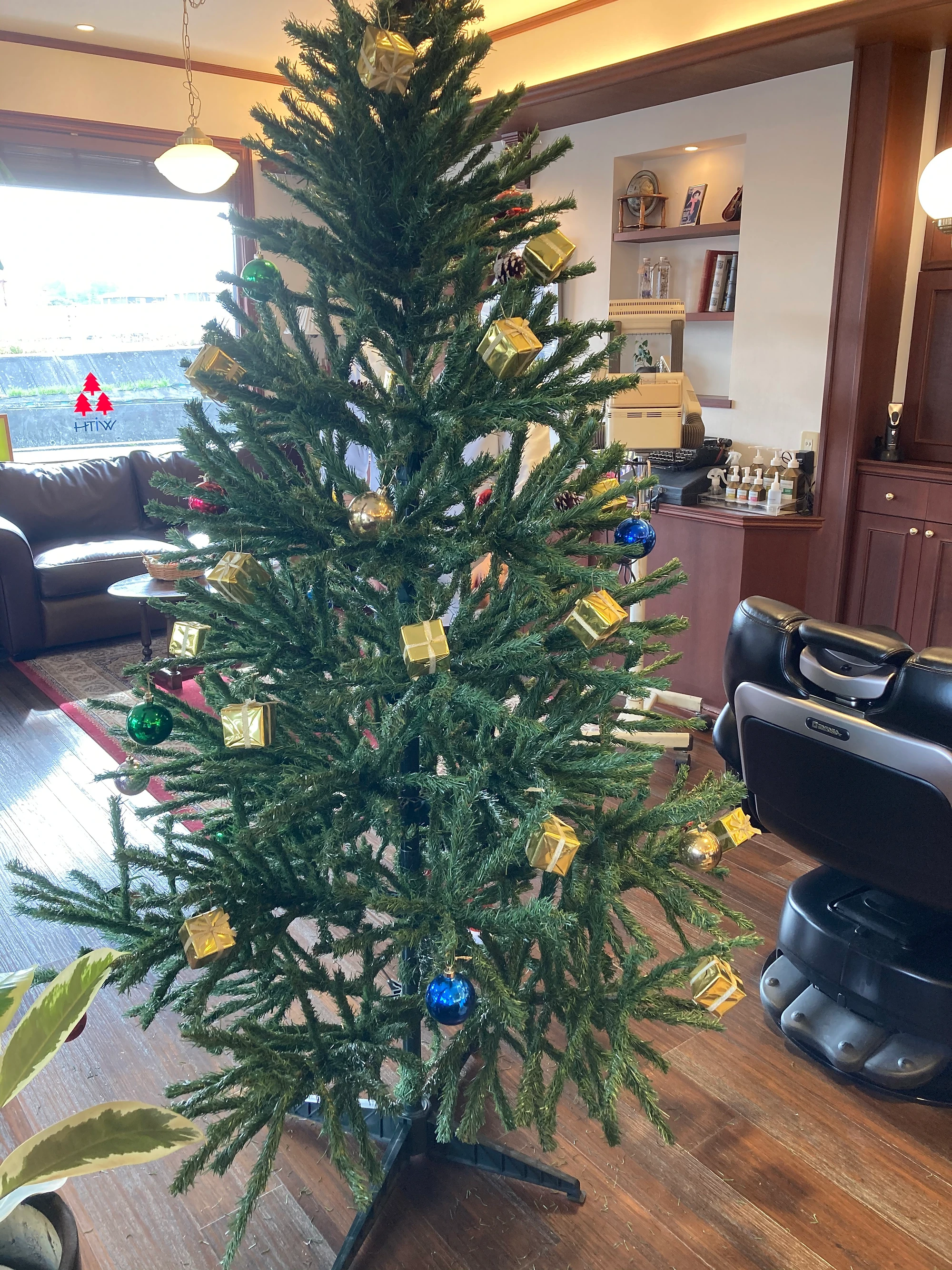 クリスマスツリー登場