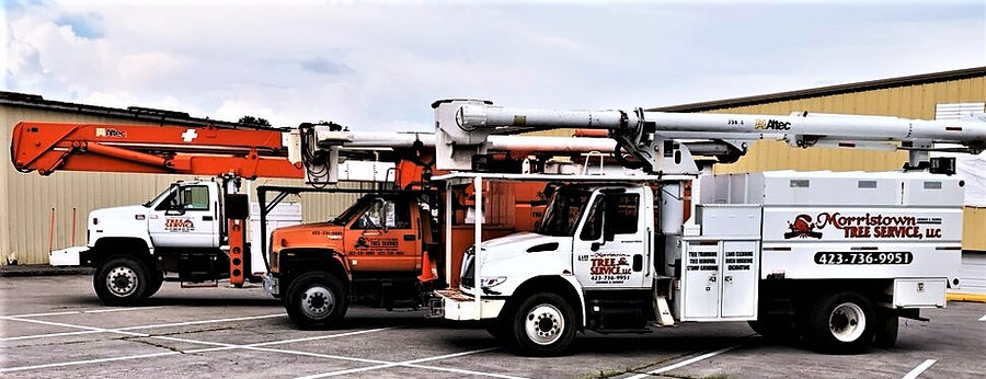 Matt3Trucks (3).jpg