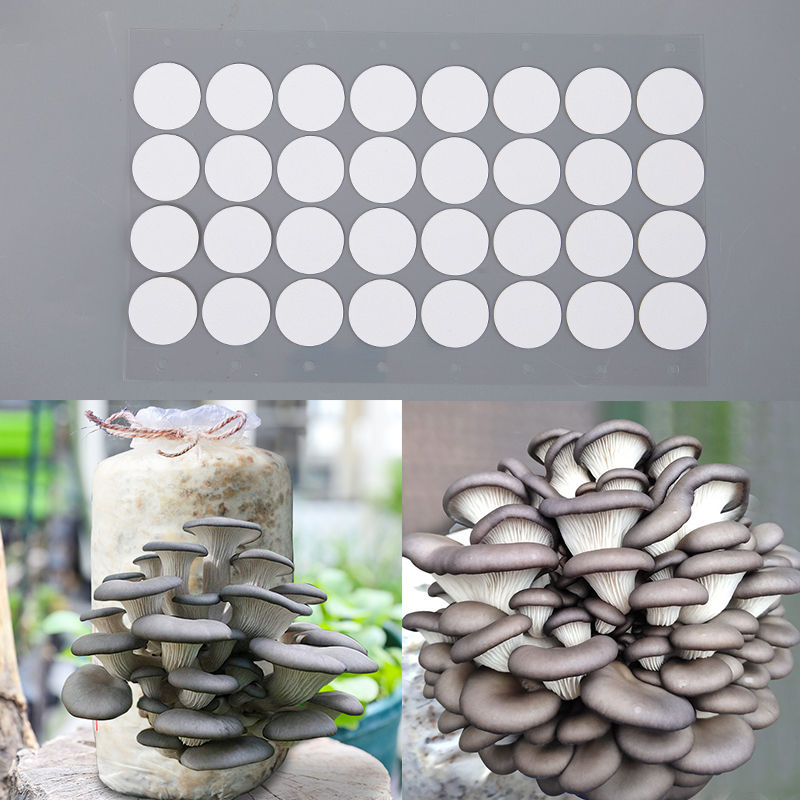 Thumbnail: Synthetic Filter Disc Stickers 32pcs