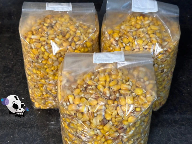 Mushroom spawn bags using corn