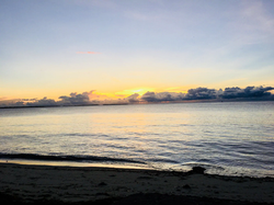 d17dfc3a-6473-47fa-b1f8-1531a9381877