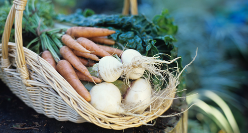 Vegetable Basket