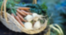 Farm to Table Experience. Veggies and Fruit Garden. Farm stay experience with domestic animals. Accommodation near Nafplio
