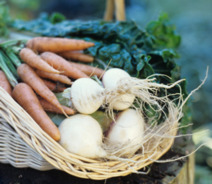 Dónde comprar - Lemon's Secrets